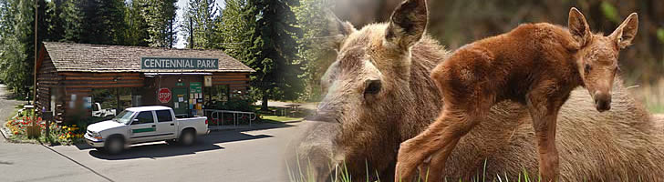 Centennial Campground in Anchorage Alaska