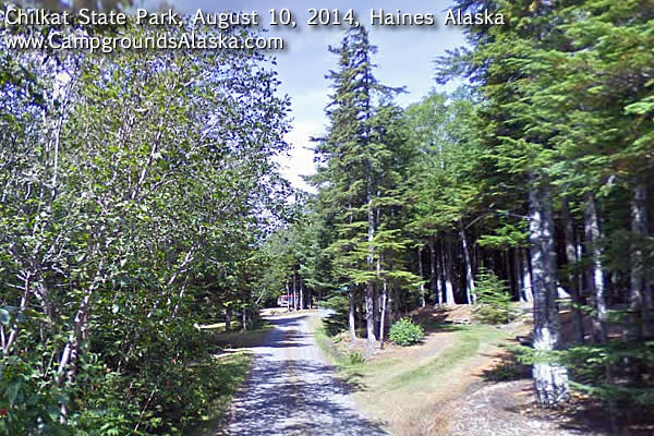 Chilkat State Park Campground in Haines, AK.