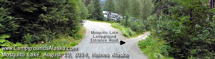 Mosquito Lake Campground, Haines Alaska