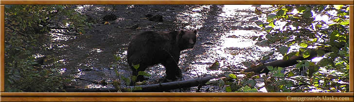 Bear Creek RV Park in Seward Alaska.