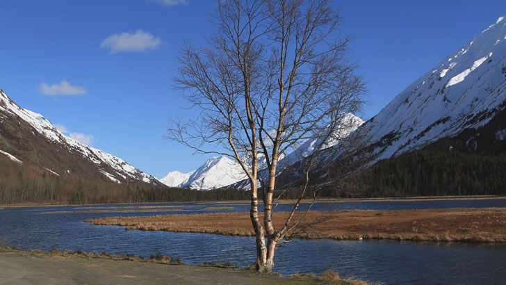 Turn Lake Kenai Peninsula Alaska