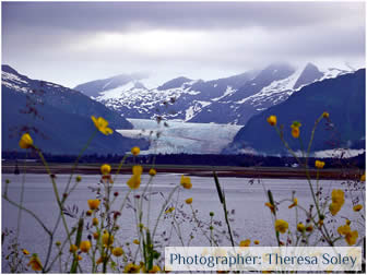 Tours of Juneau Alaska