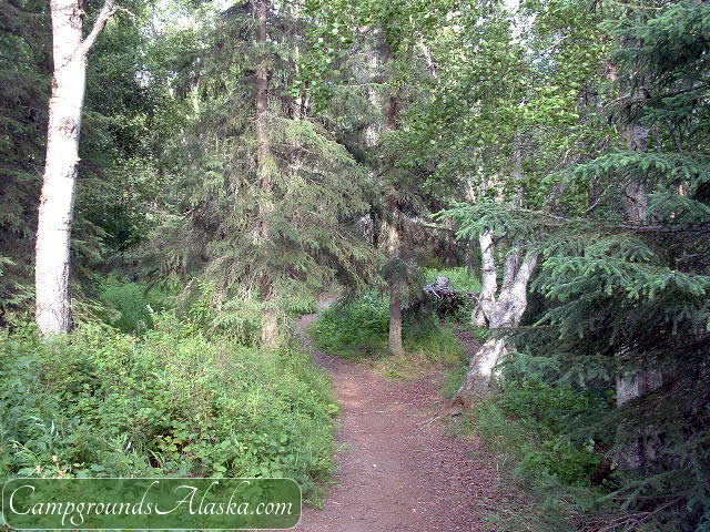 Hiking at Captain Cook State Park.