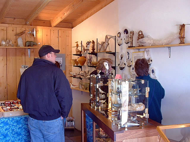 Tourism Shops on the Homer Spit in Homer Alaska