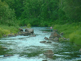 Salmon fishing in the Swanson River can be very good in the fall. 