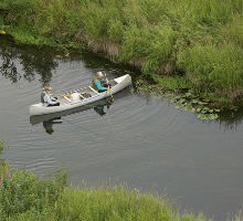 Swanson River Campground on Swanson River Road